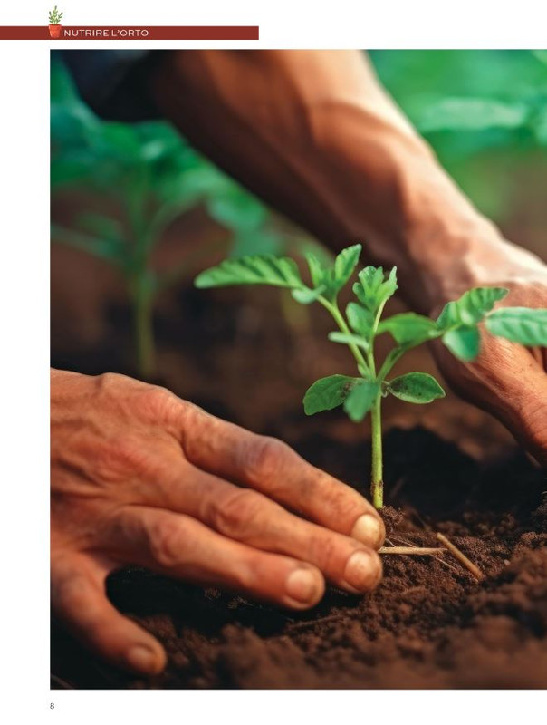 Orto Facile - Il Mio Orto Pratico - Feb-Mar 2024 (1)