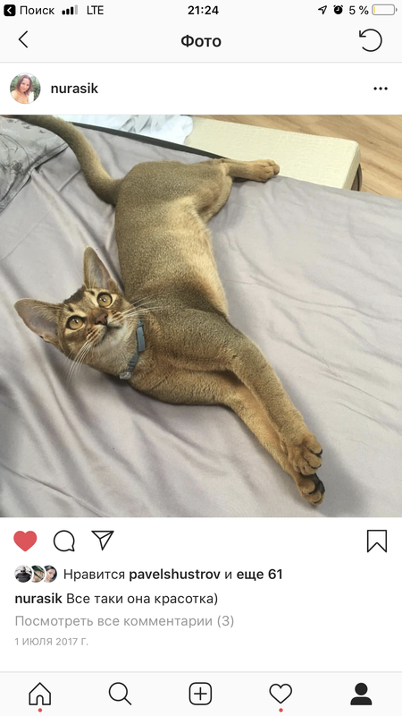 5E504594-FBC5-46C0-91E5-DB6D62666F74