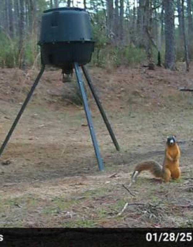 Screenshot_20250128_161939