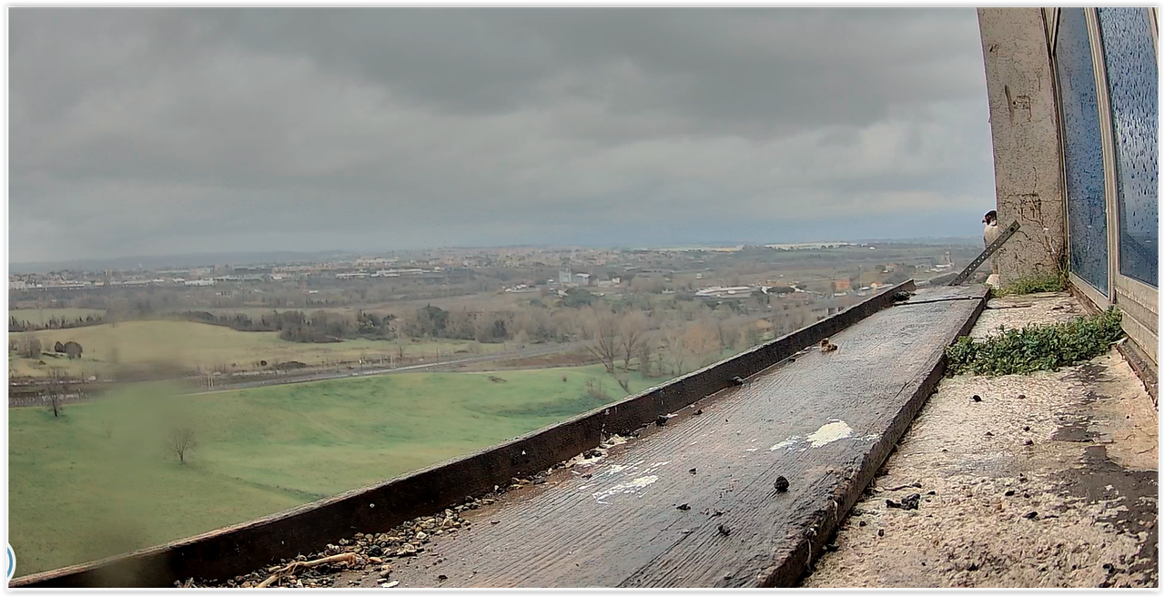 Screen Shot 02-26-25 at 09.42 AM