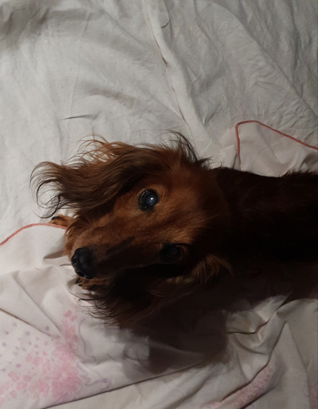 [Image: 20210612-222025.jpg]