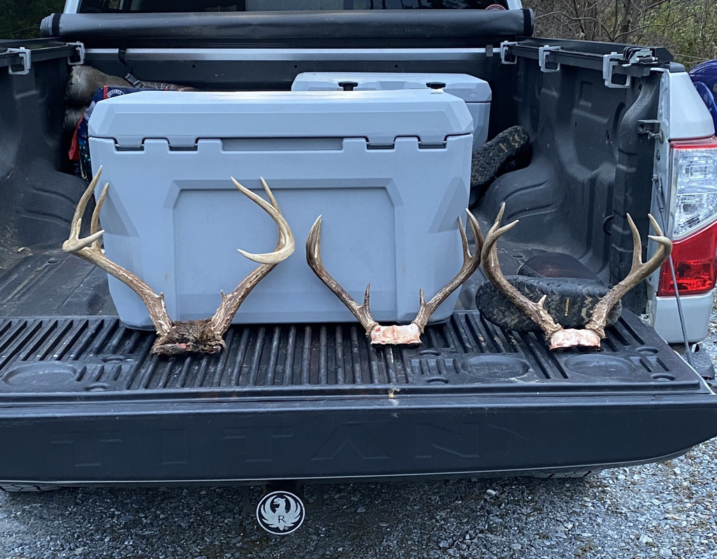 23 Bucks