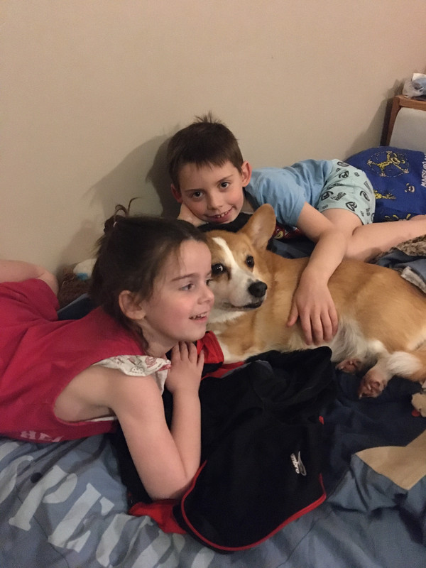 [Image: 1-FC0-F173-8-BC4-47-A1-98-B0-1-A0859-FBD215.jpg]