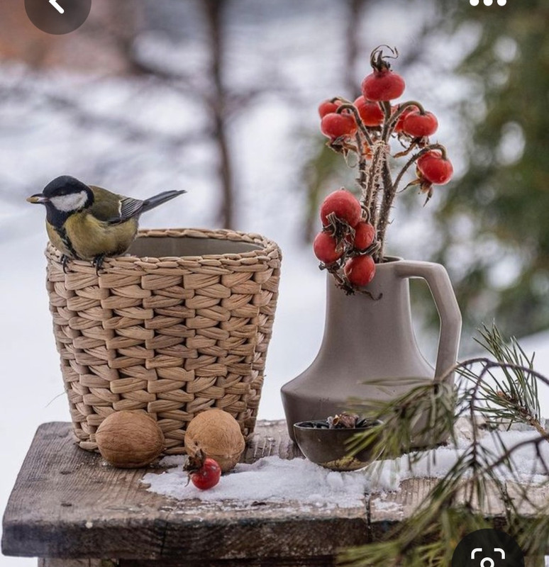 Screenshot_20230508_233919_Pinterest