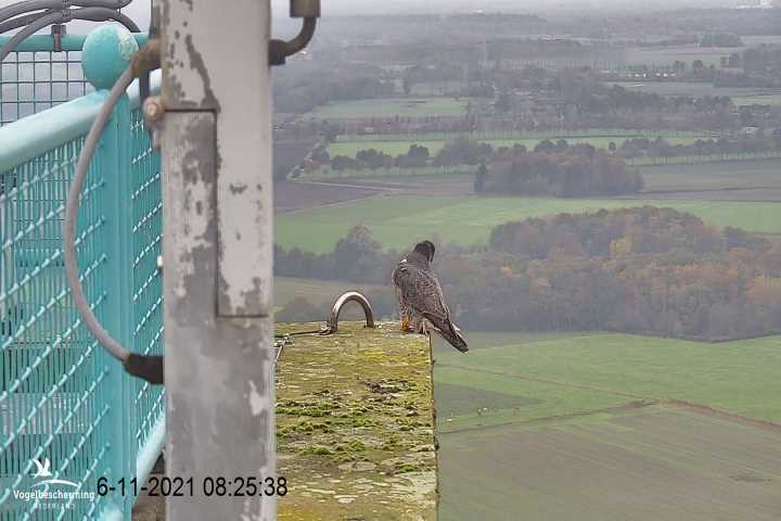 campics vanaf 1 juli  © VWGGemert  en bonusjes van ter plekke V10