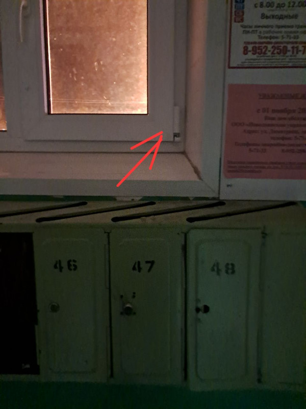 IMG 20251111 203722 943