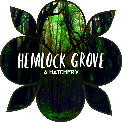 hemlock-grove.png