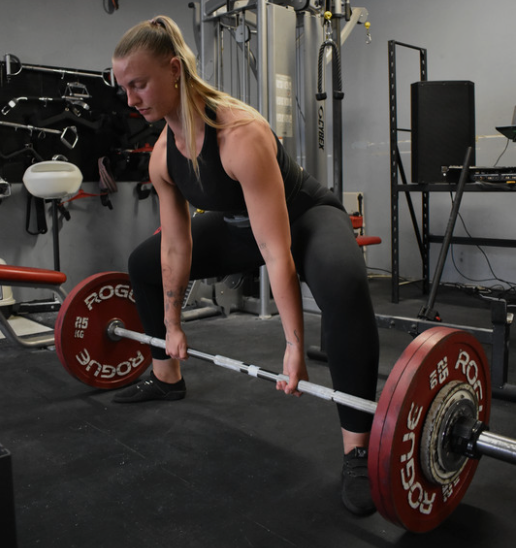 Private non commercial gym in Taren Point for personal training