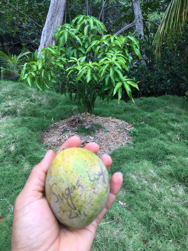 8067C204-0F6C-4F3C-A1DD-6F30E026FEDD