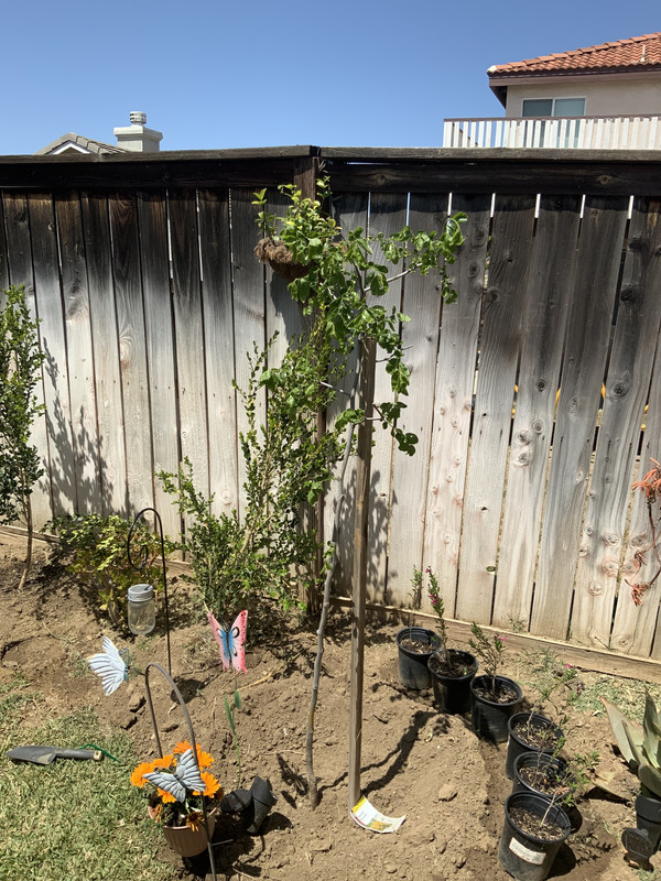 118B500F-8DB3-40B3-92DA-ACE7E7B8CE26