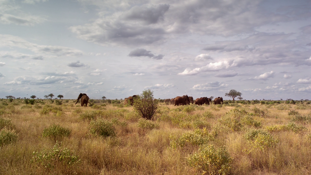 vlcsnap-2023-02-06-15h15m32s545