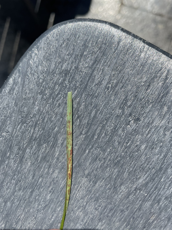 5F086CB6-F826-497A-8D19-638715A1ABDB