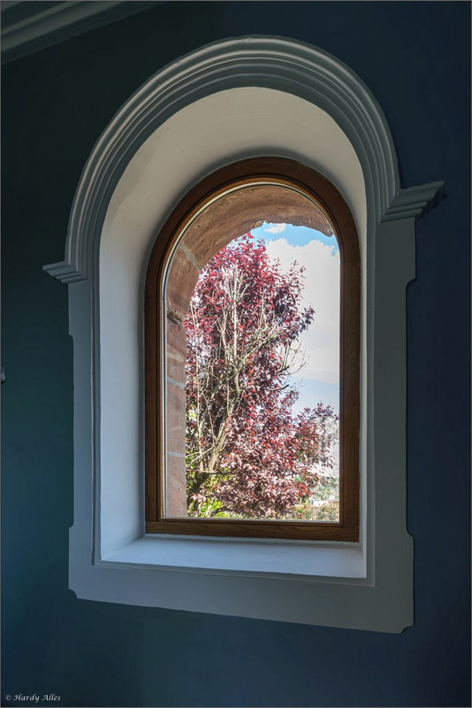 XT5A9428-Verbessert-RR  2025 Hombourg-Haut  LR ERWZ FB