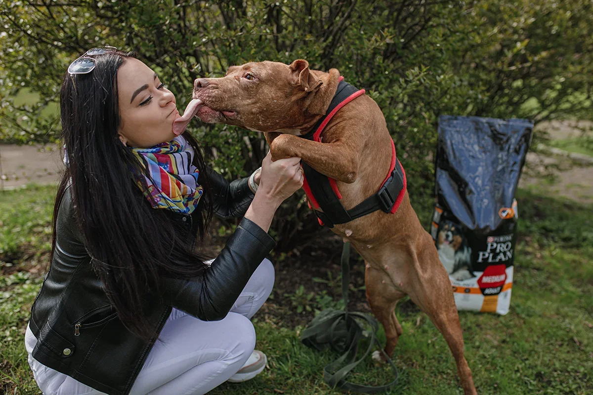 38FC52D8-F959-43BF-ADE0-8D6BE40362C6