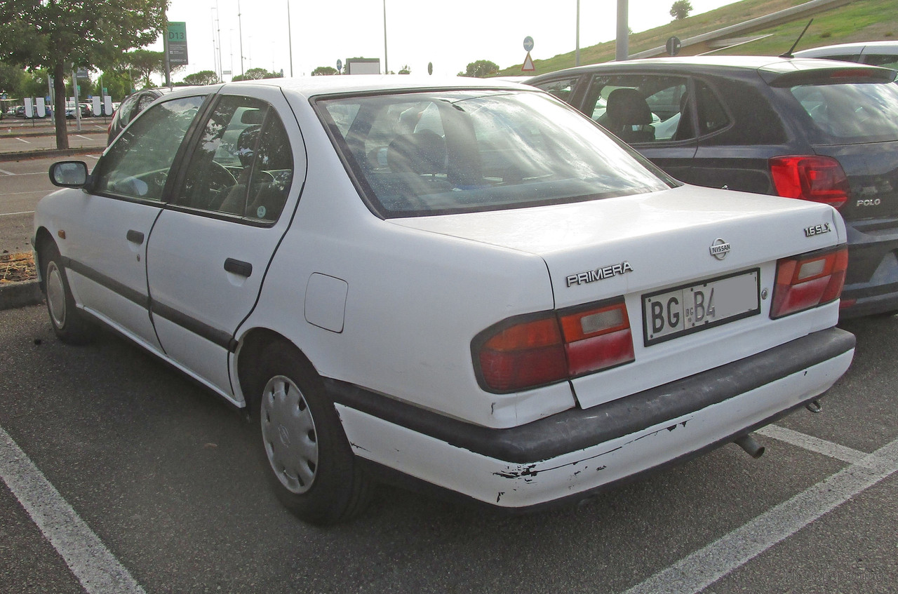 IMG-8694.jpg