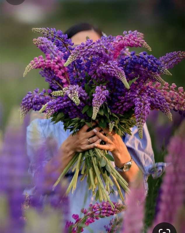 Screenshot_20240331_004543_Pinterest