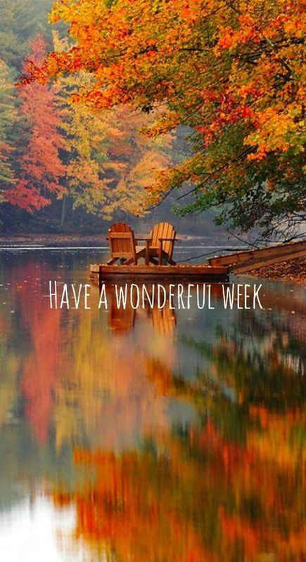 Have-a-wonderful-week