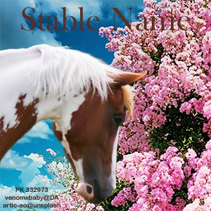 Spring-2025-AA-art-piece-avtr-2.jpg
