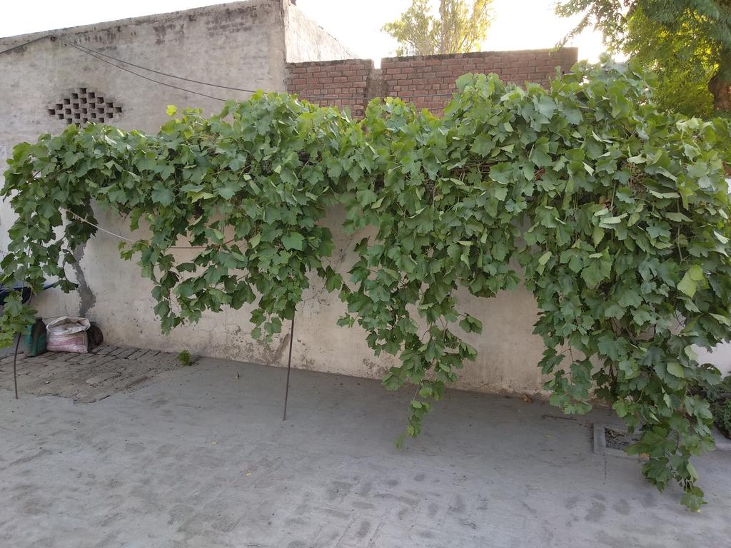 IMG-20190607-181647.jpg