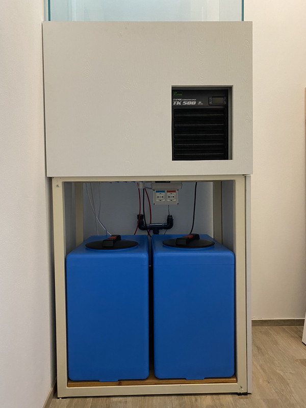 65C0E5E6-BCBA-4046-8986-5B3CF10274C1