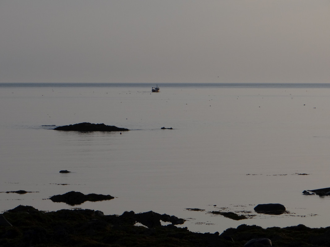 CREEL BOAT 5