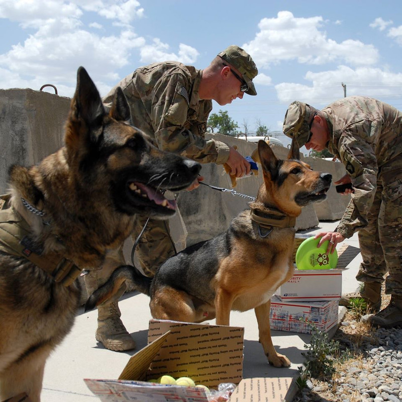 11224438_843167152446923_7364597806508398061_o