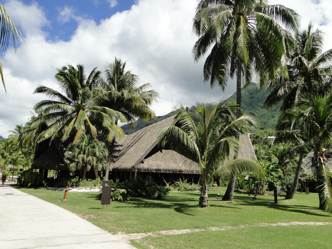 Polinesia, nosotros y la visión del paraíso. - Blogs de Polinesia Francesa - 2° Etapa: MOOREA. (1)