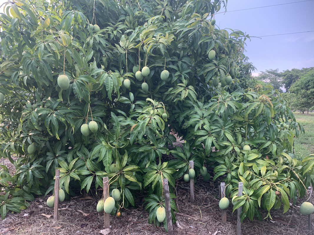 86A043FC-9078-492A-8522-C47B63A1803B