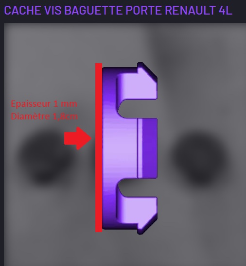 Cachevisbaguette4L