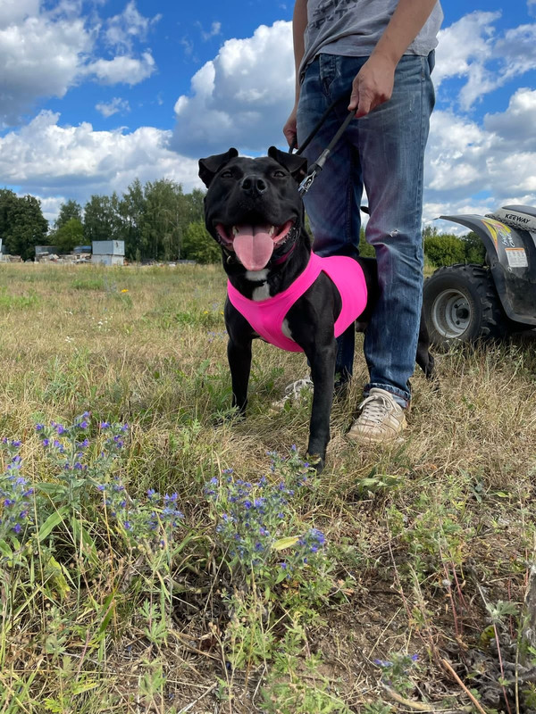 939F0A04-D5D3-47F8-B0B0-477A467DB180