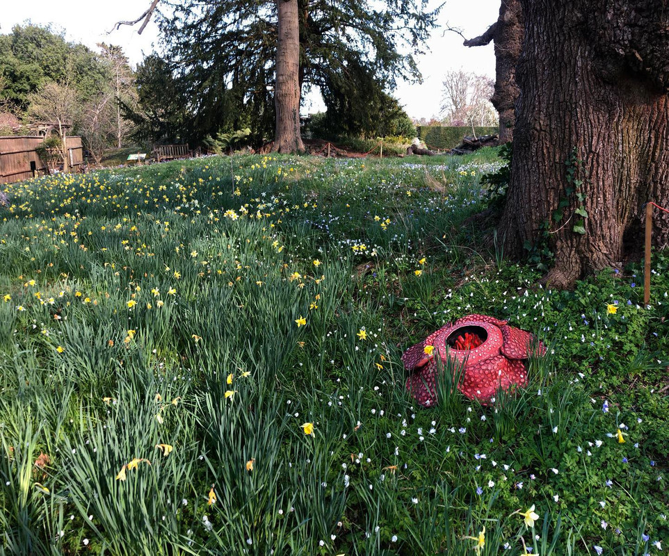 uni-of-bristol-botanic-garden