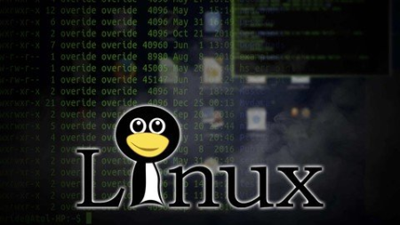 Master Linux And Shell Script From Basic To Pro