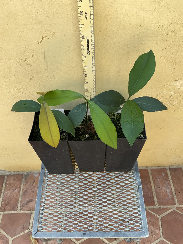 51B3D729-D44D-450E-84B0-5D572357FCB8