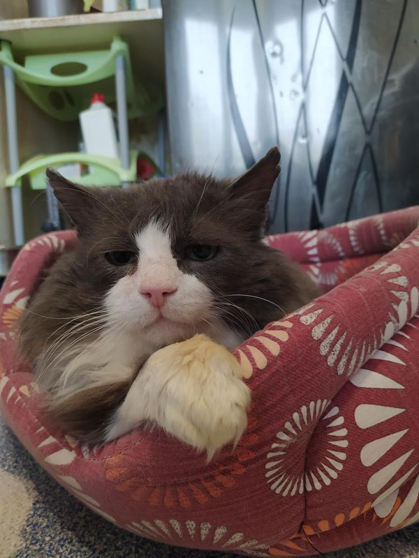 B496F269-9A91-4B01-AFE7-81ADE79DFF55