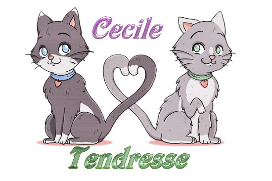 https://i.postimg.cc/wvvhv49H/tendresse-chats.png