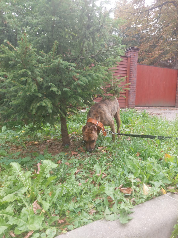 4EBFFFDE-288A-48EE-B3BD-F6AE702EF89A