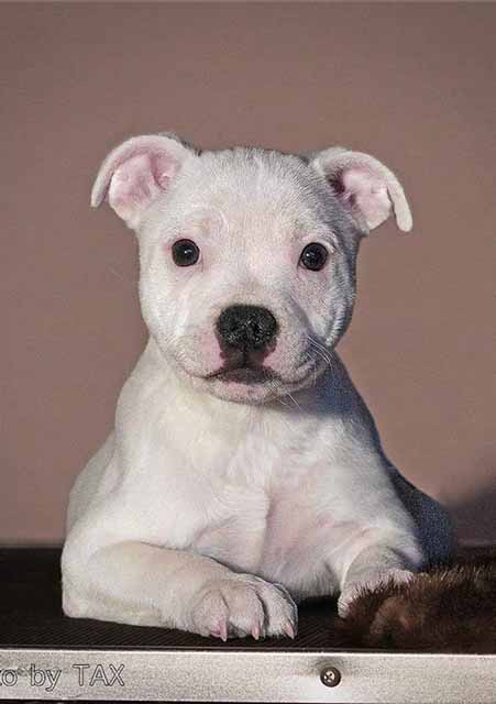 1-jspuwKhPquTwuz2-KC9Vm2Go4XW7yb3XlVGmKBawlv-idkeITfbO-43qgj1ztPEGmpnwLyQEbUFLxgPjF5uVrZQA