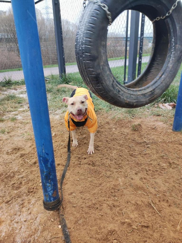 2165DEEA-1A61-48DF-AEBE-E06989649E04