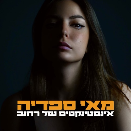 תמונה
