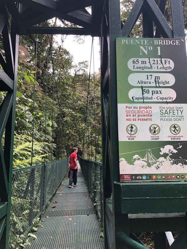 DIA 11: TIROLINAS EN MONTEVERDE Y TOUR NOCTURNO POR LA SELVA - DE TORTUGAS Y PEREZOSOS. COSTA RICA 2019 (20)