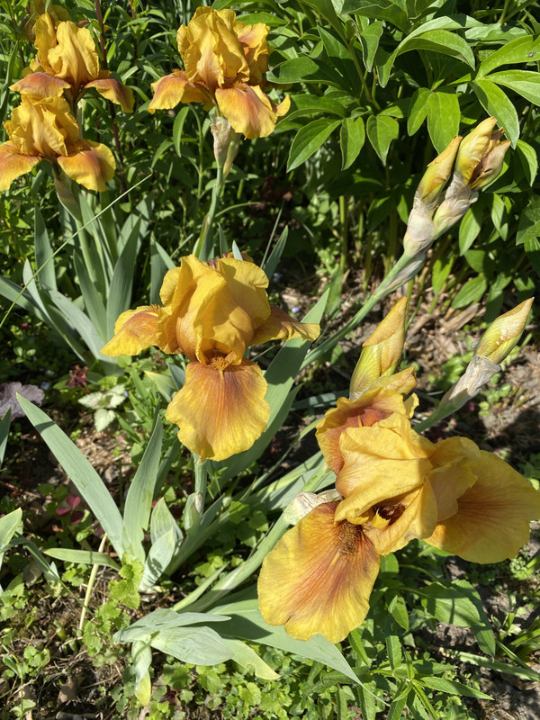 AF0EBD19-E914-4D04-9A2A-0A4EBE064B2E