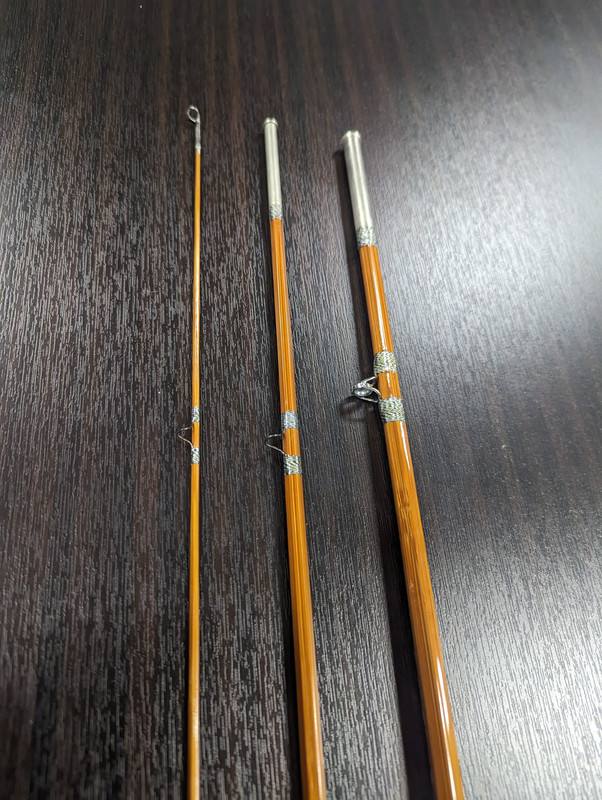 PXL_20240119_224643738