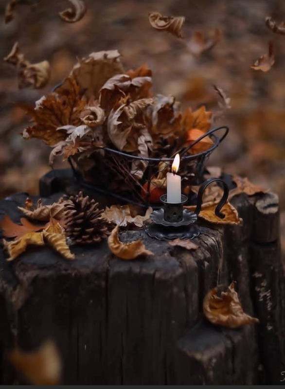 Screenshot_20231117_204442_Pinterest