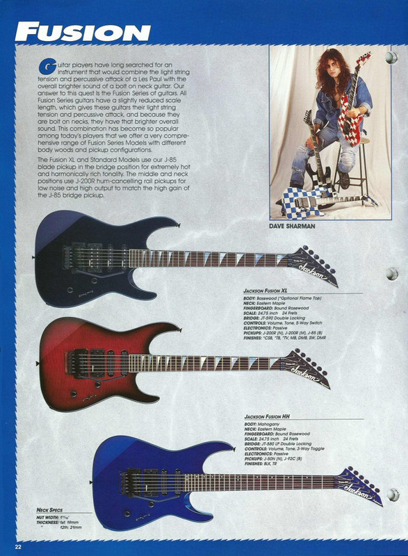 cat_1993jackson_page22