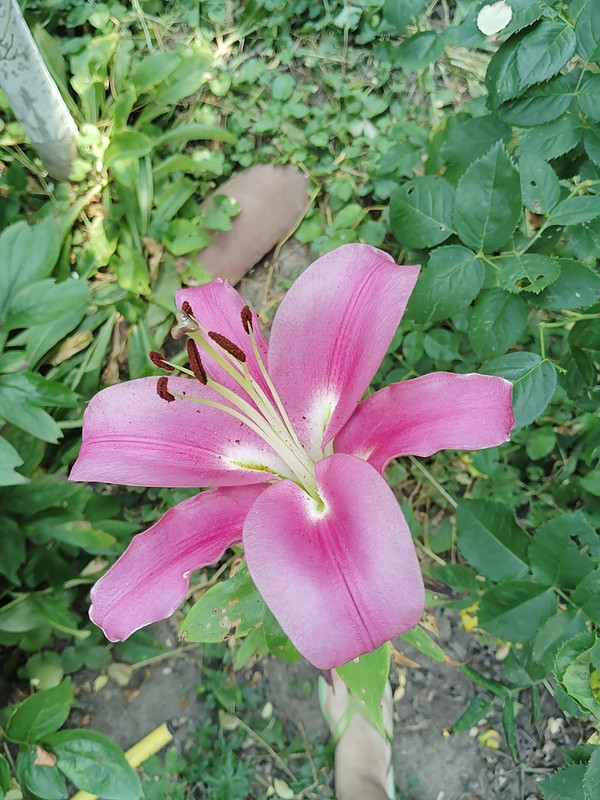 IMG 20260720 130648