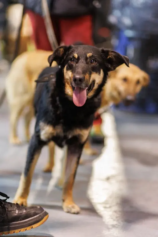 lU8bv712aJePQphB6hEV7celNpWgQeuMko6BqlDb2rZGYsMLy_PH39qRCL-d0hxydKPEIxkQNsJ79kZnxhiduQ==?uid=0&filen