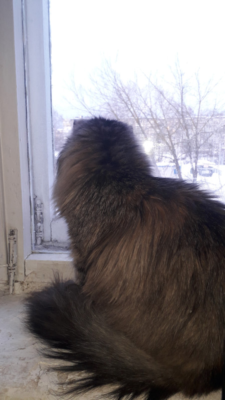20220116-092554.jpg