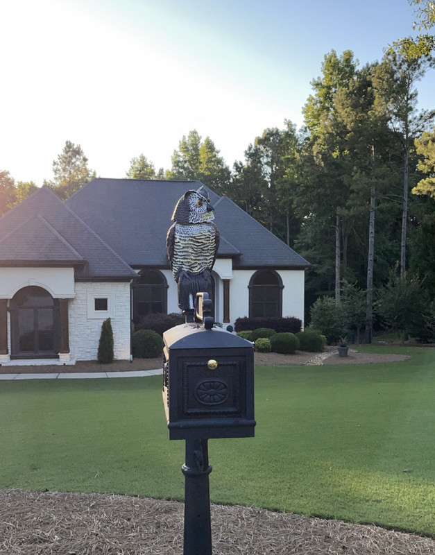 8B57B1DA-CBF8-4F69-84AF-DC15C3C0771B