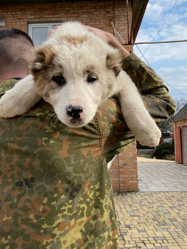 0EE0CB46-EF7A-41AF-BB8C-9746EE6FA2F7