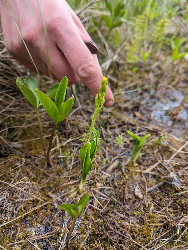 PXL_20230603_104808868